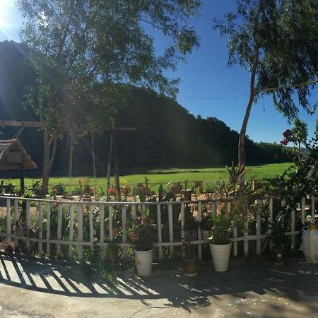 Phong Nha Rice Field Homestay Экстерьер фото